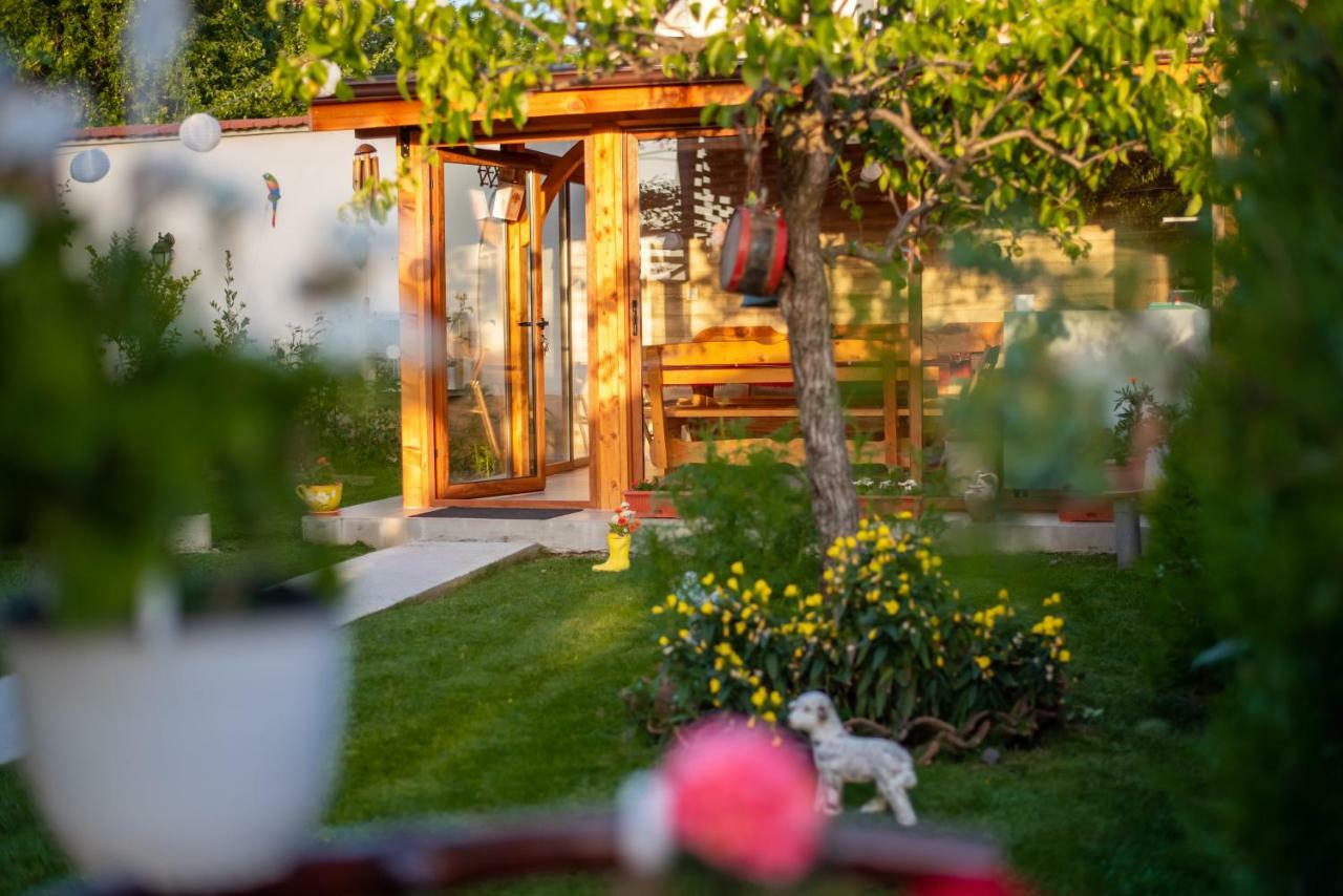 Guest House Vasilena Sapareva Banya Exterior foto